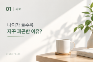 나이가 들수록 자꾸 피곤한 이유 정말 나이 때문일까? 9 나이가 들수록 자꾸 피곤한 이유 정말 나이 때문일까? 썸네일